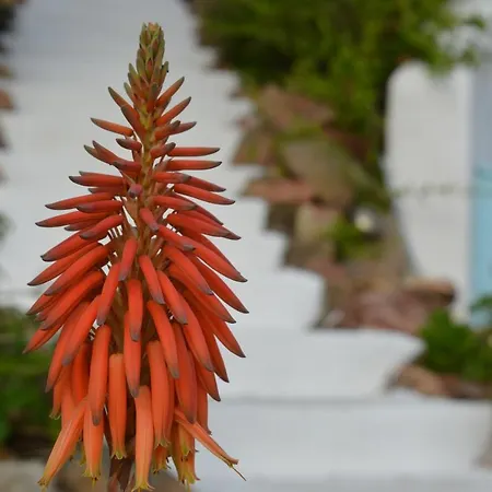 Nyaraló Casa Shezella *